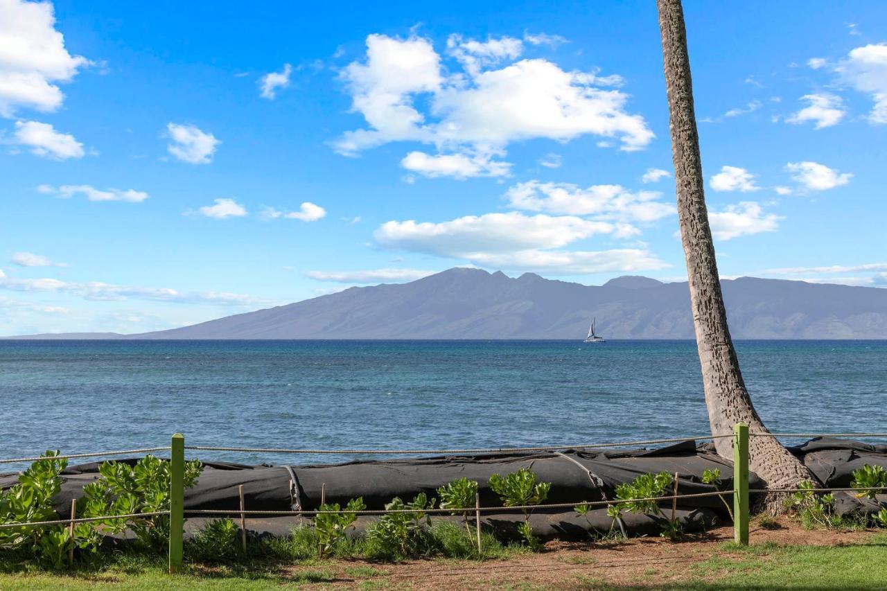 Incredible Beachfront 1Br - Sleeps 4 Awesome Location And In The Center Of Restaurants Many Beaches Golf And More Villa Kahana Esterno foto