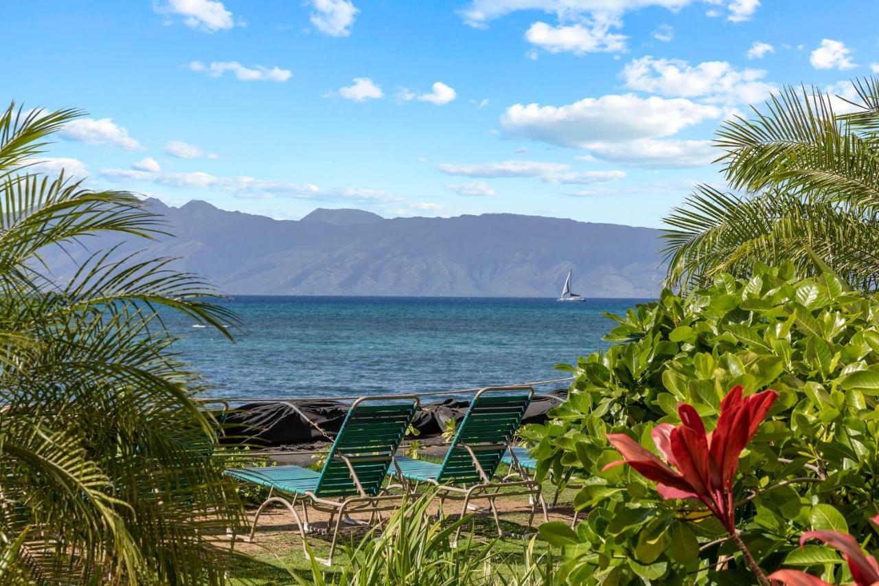 Incredible Beachfront 1Br - Sleeps 4 Awesome Location And In The Center Of Restaurants Many Beaches Golf And More Villa Kahana Esterno foto